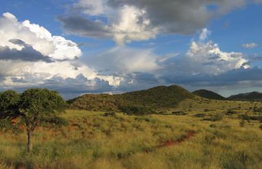 Landscape 81