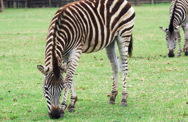 johannesburg_2
