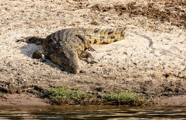 kwando_river_4