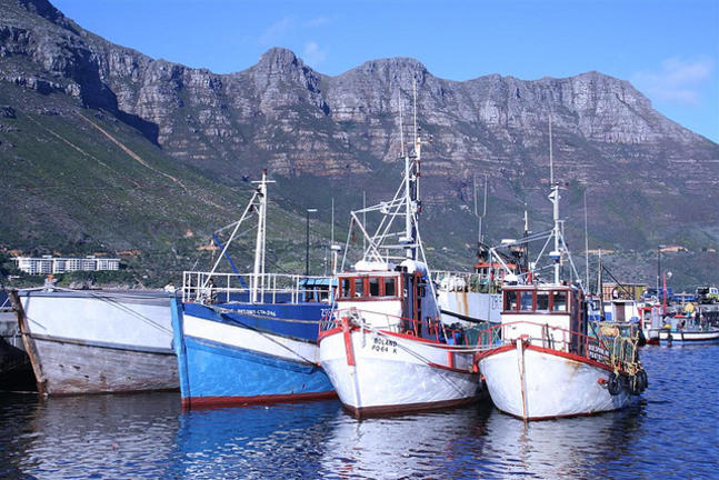 Harry Comfort_Fishing Boats in Hout Bay