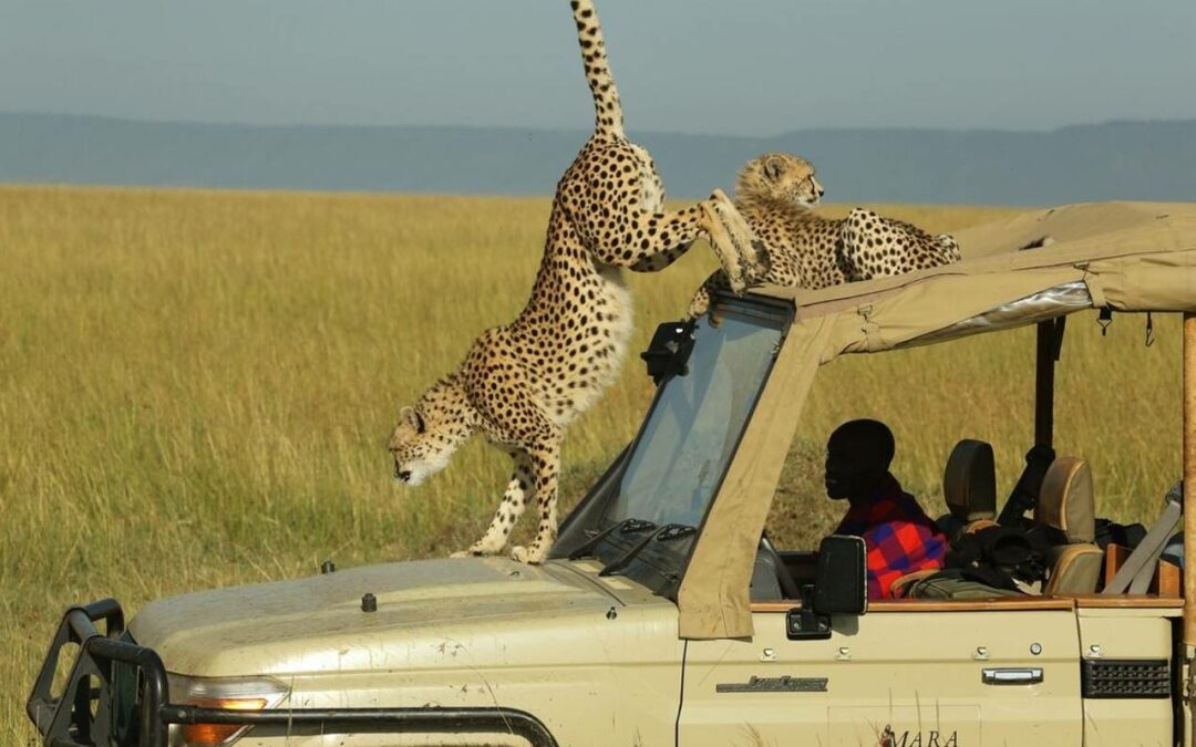 Kenya