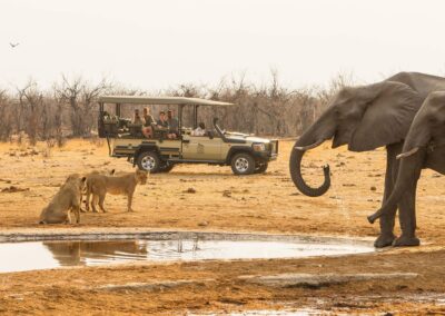 Chobe National Park with Adventures Africa