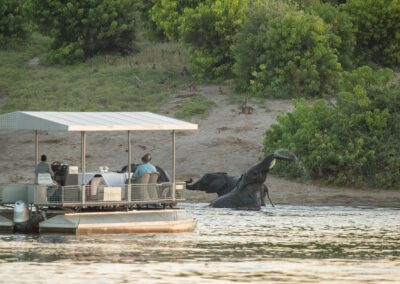 Chobe National Park with Adventures Africa