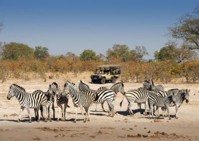 Chobe National Park with Adventures Africa