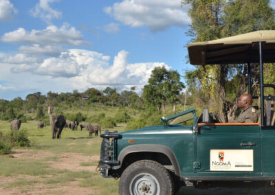 Chobe National Park with Adventures Africa