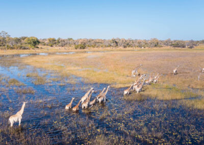 Okavango Delta with Adventures Africa
