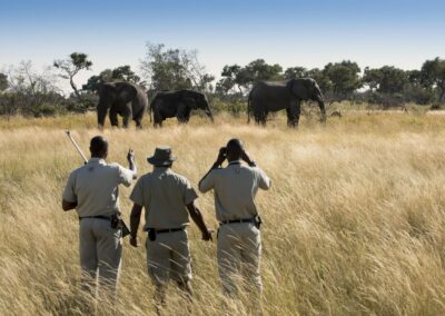 Okavango Delta with Adventures Africa