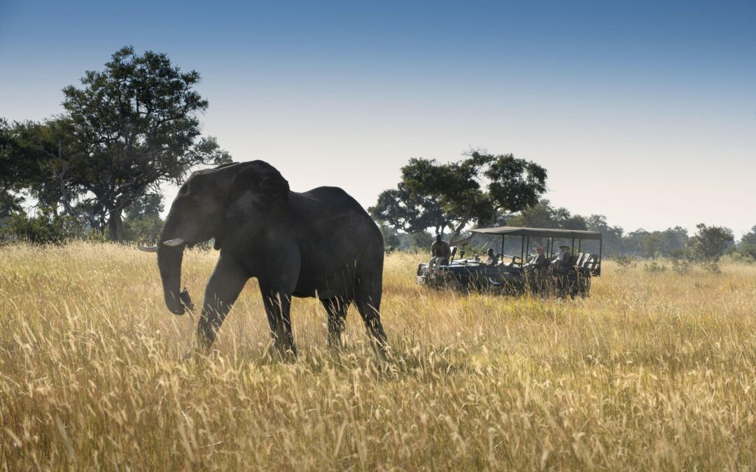 Classic Okavango Delta Safari