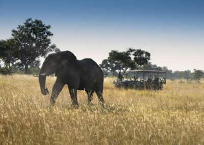 Okavango Delta with Adventures Africa