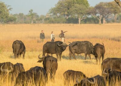 Okavango Delta with Adventures Africa