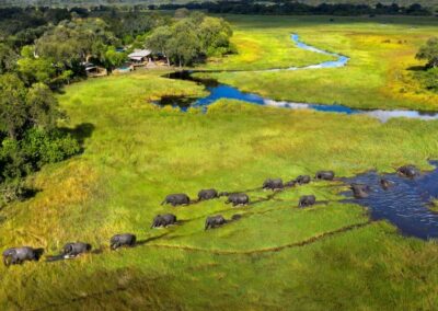 Okavango Delta with Adventures Africa