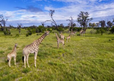Okavango Delta with Adventures Africa