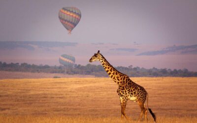 Honeymoon in Kenya & the Seychelles