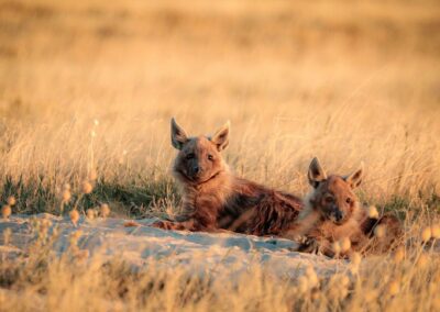 Nxai Pan National Park - area overview