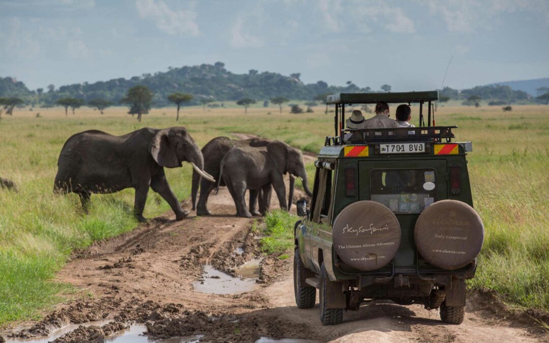 SkySafari Tanzania