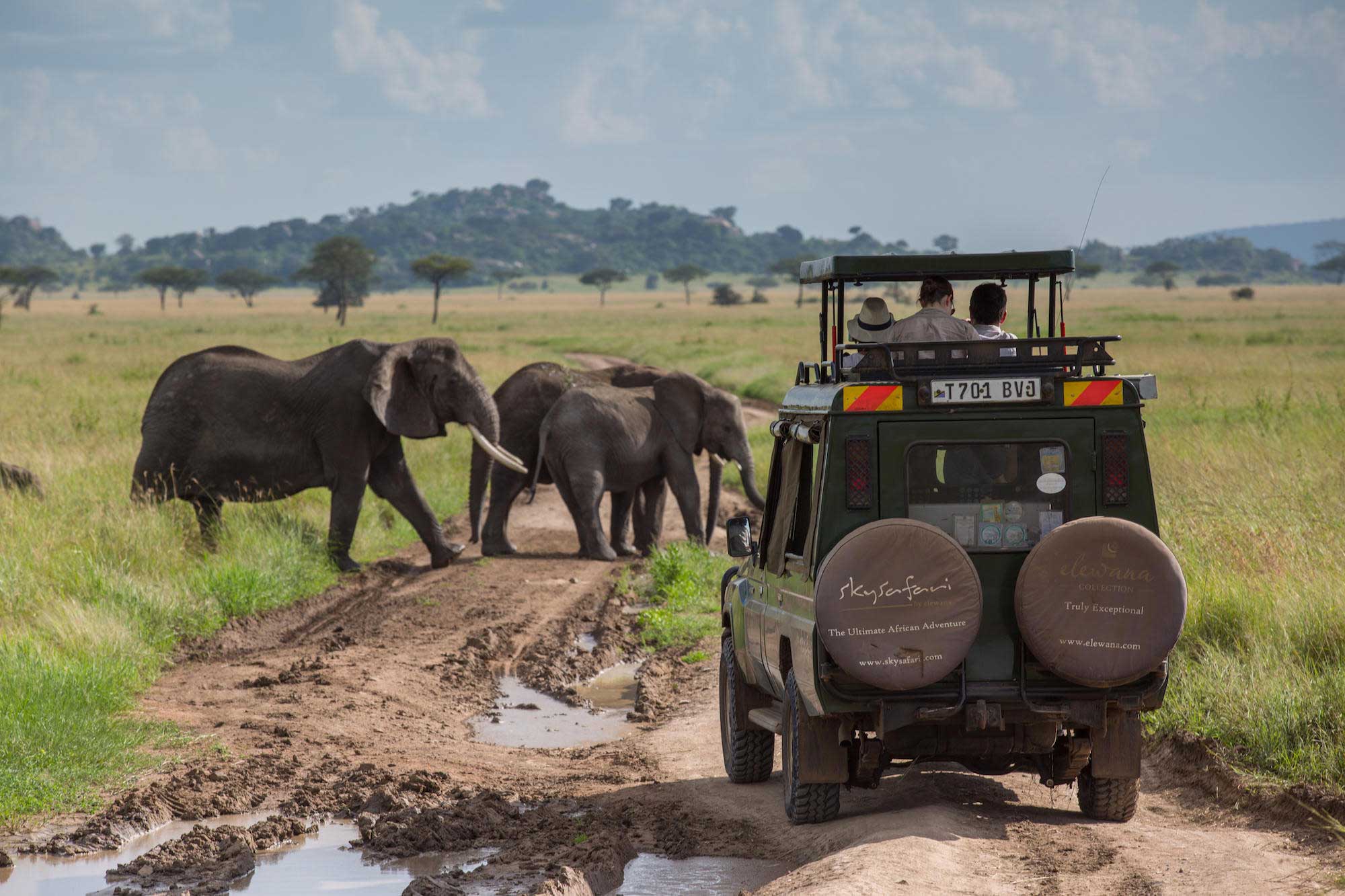 SkySafari Tanzania Safari, Luxury Fly-In Tanzania Adventure
