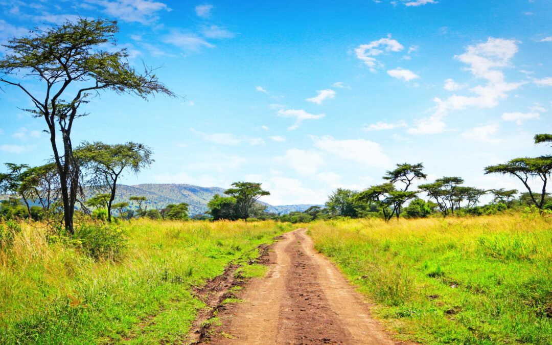 Akagera National Park