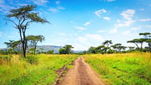 Akagera National Park