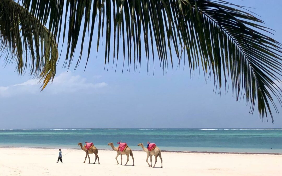 Diani Beach