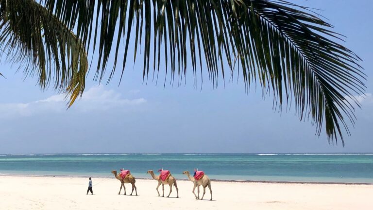 Diani Beach