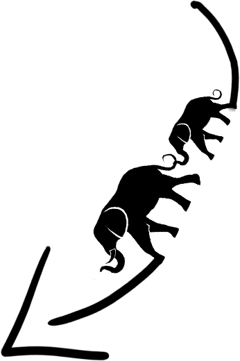elephant arrow