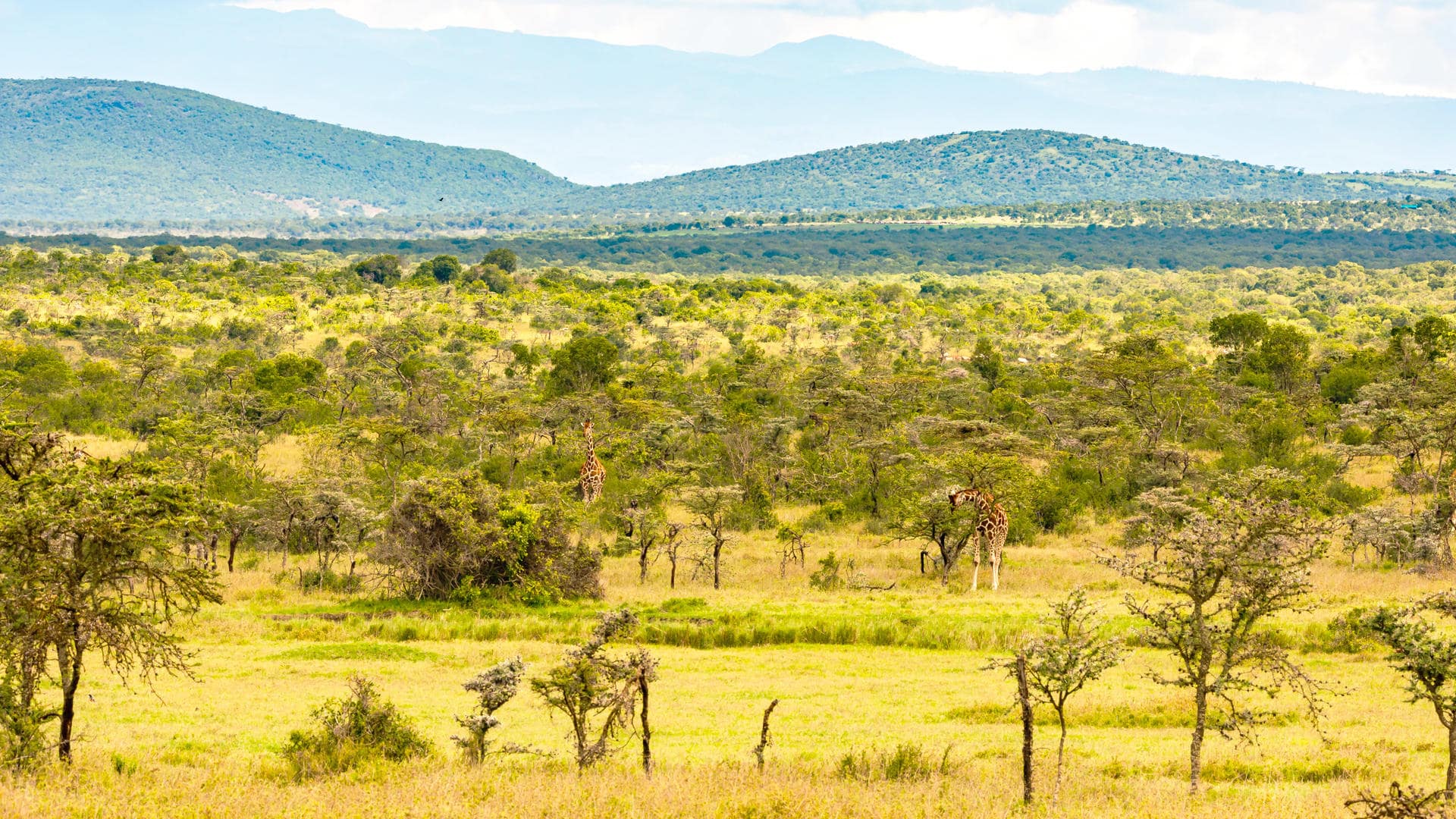 Laikipia South