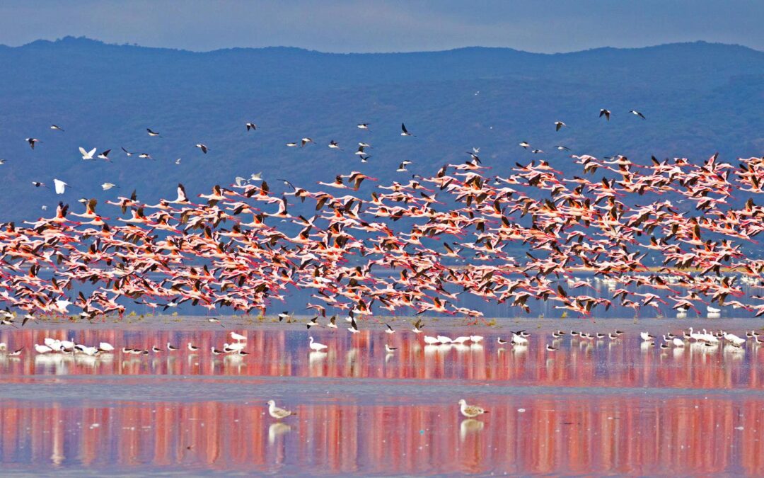Lake Manyara