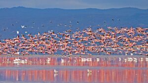 Lake Manyara