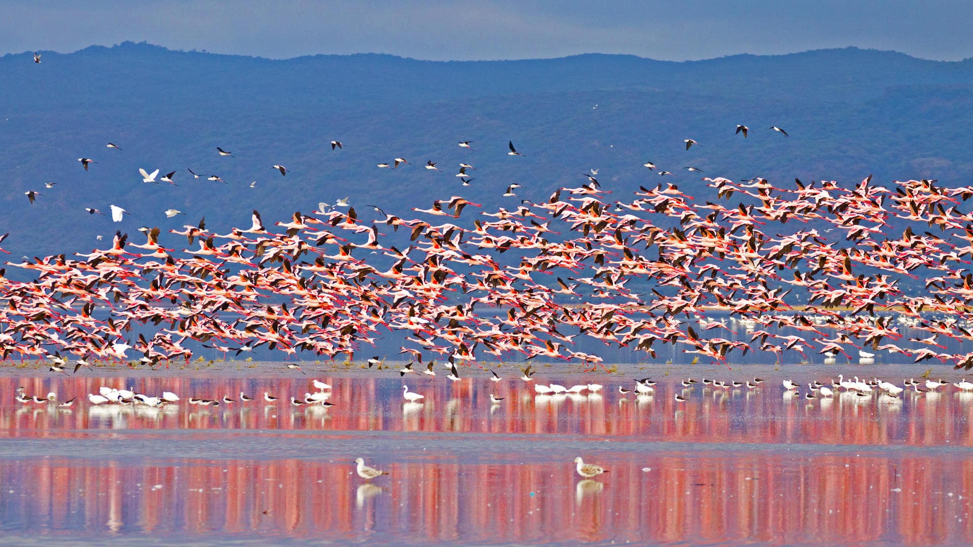 Lake Manyara