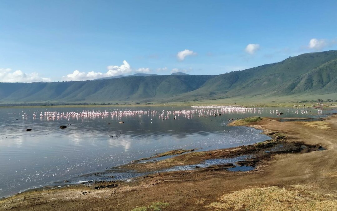Lake Naivasha