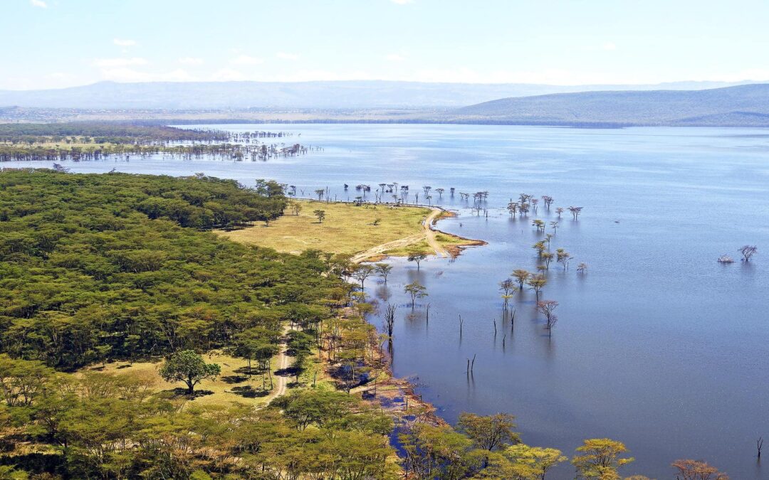 Lake Nakuru