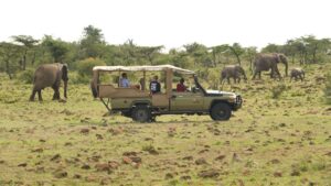 Masai Mara