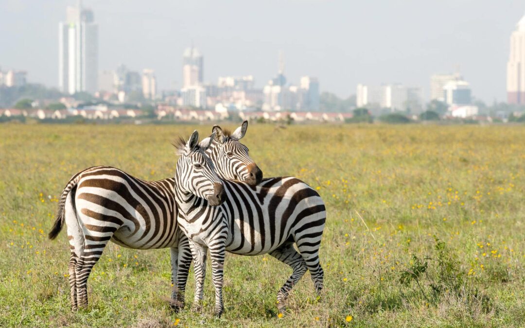 Nairobi