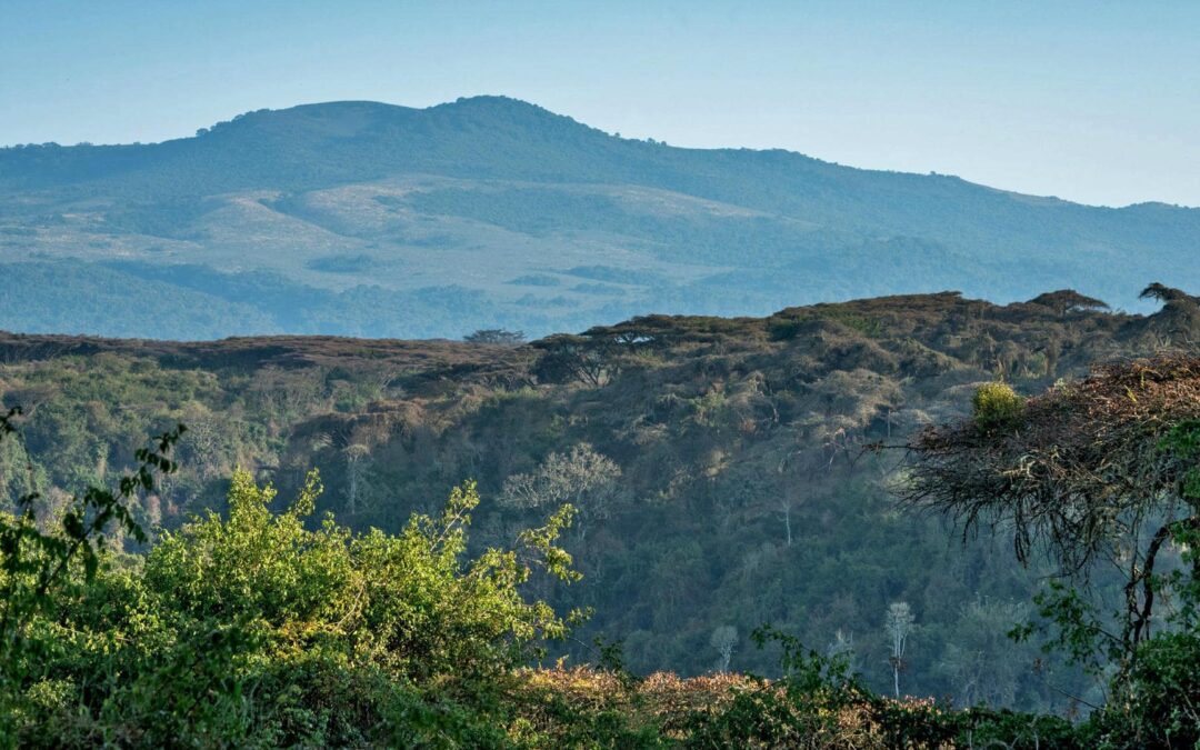 Ngorongoro Crater