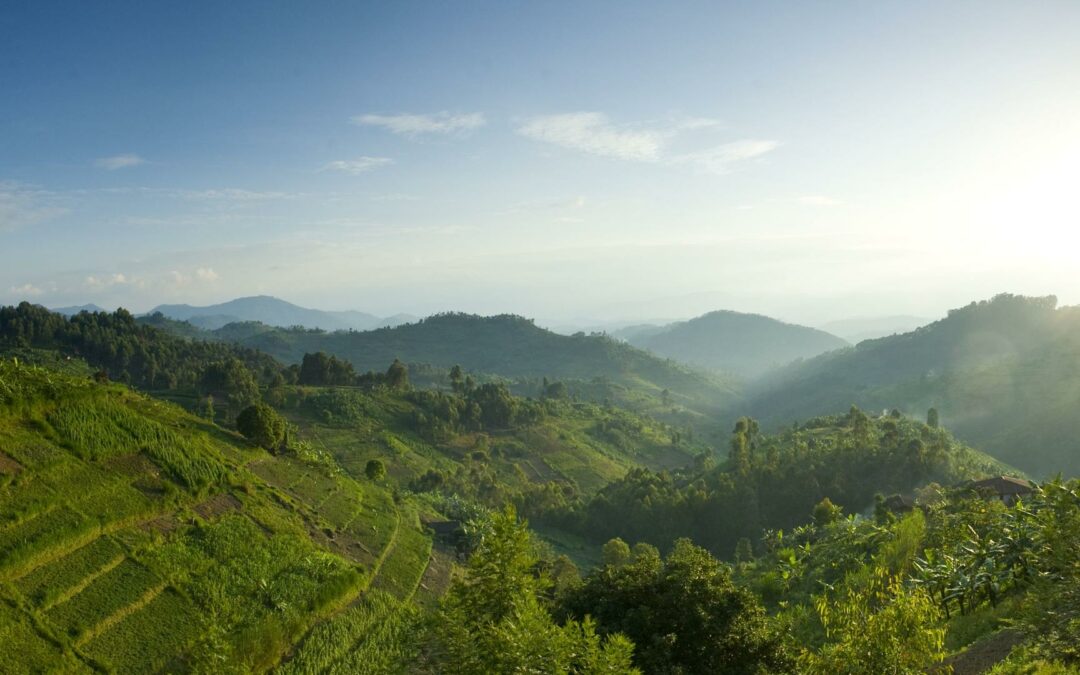 Nyungwe Forest National Park
