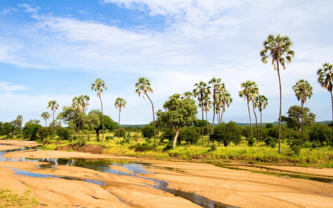 Ruaha National Park