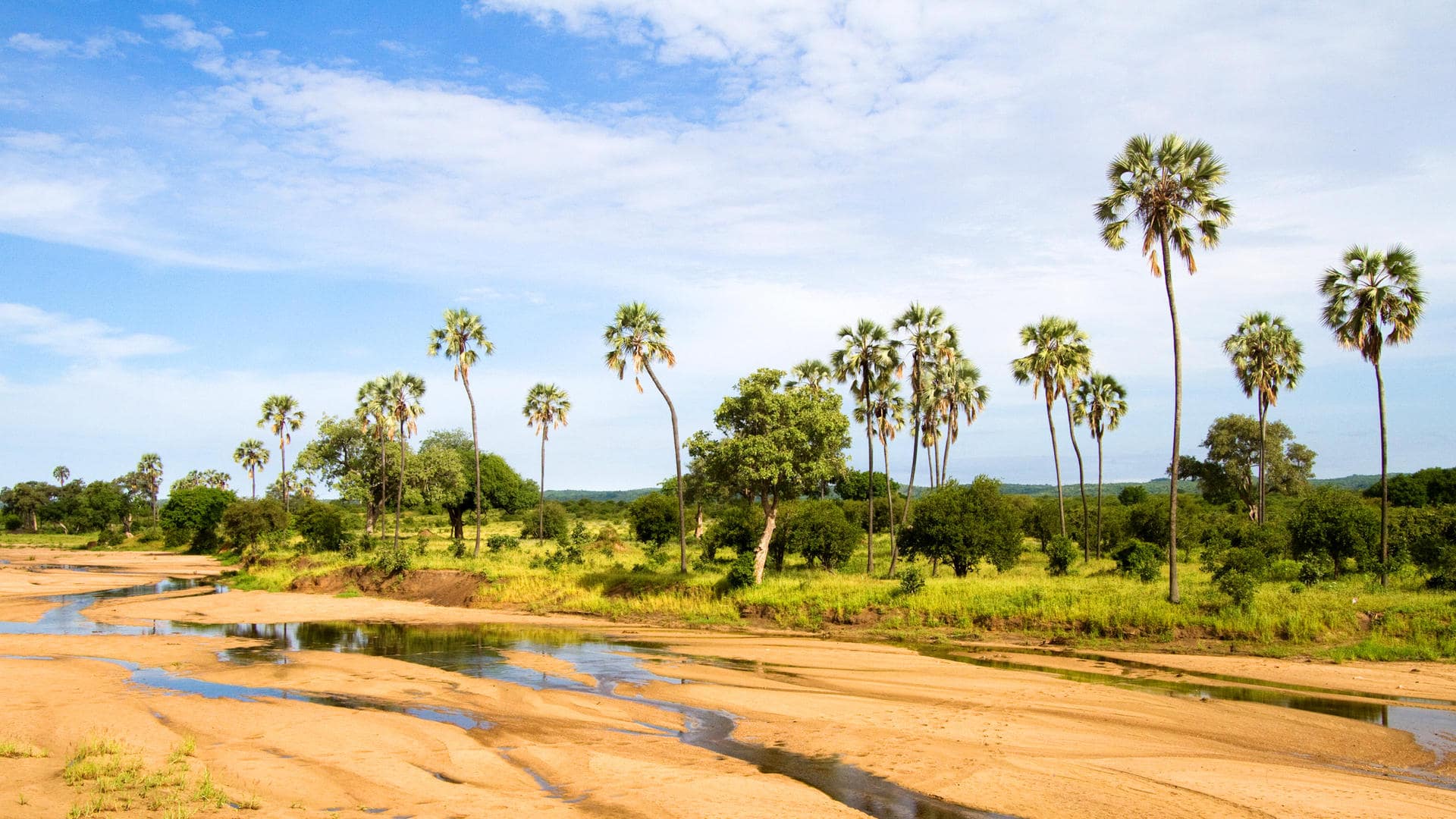 Ruaha National Park