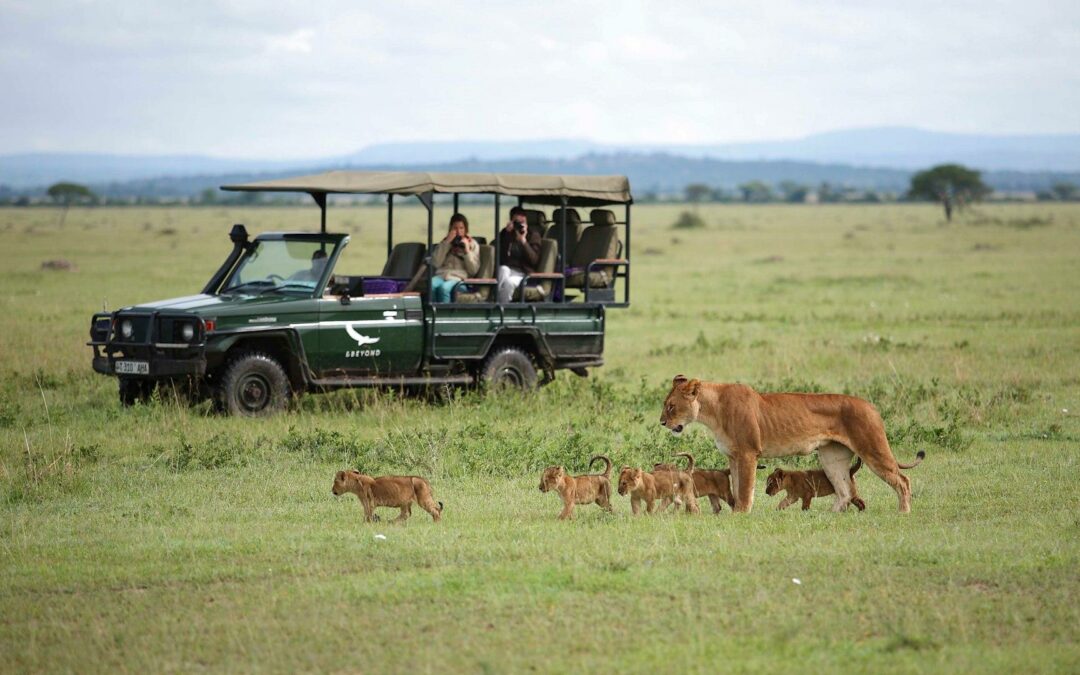 Serengeti Supreme Tanzania