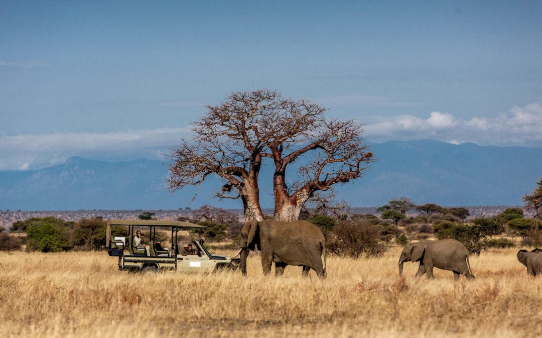 Tarangire National Park