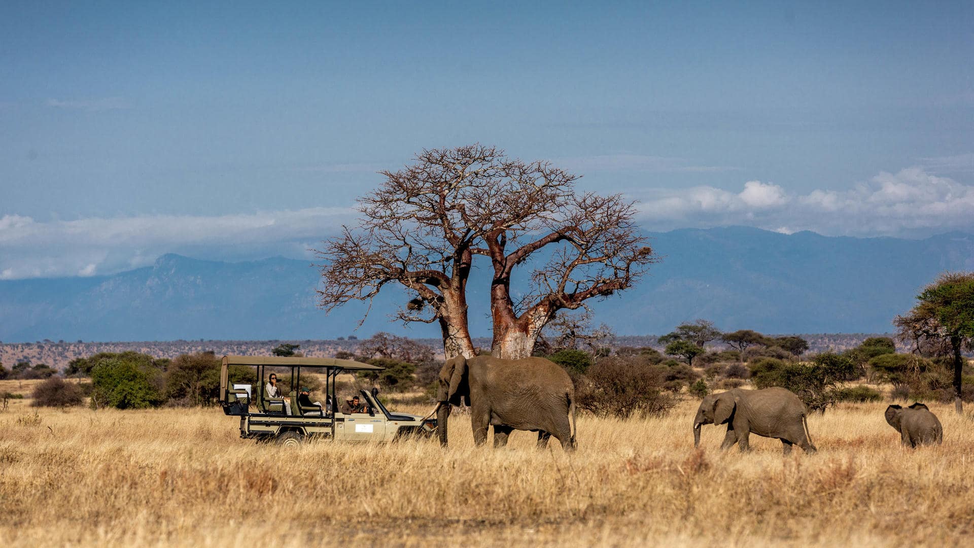 Tarangire National Park
