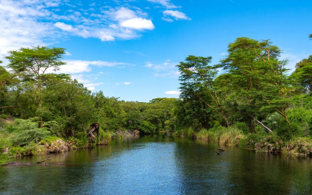 Tsavo East