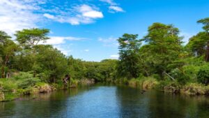 Tsavo East