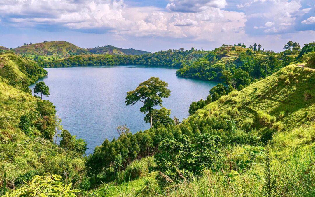 Kibale Forest National Park
