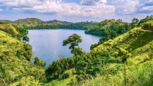 Kibale Forest National Park