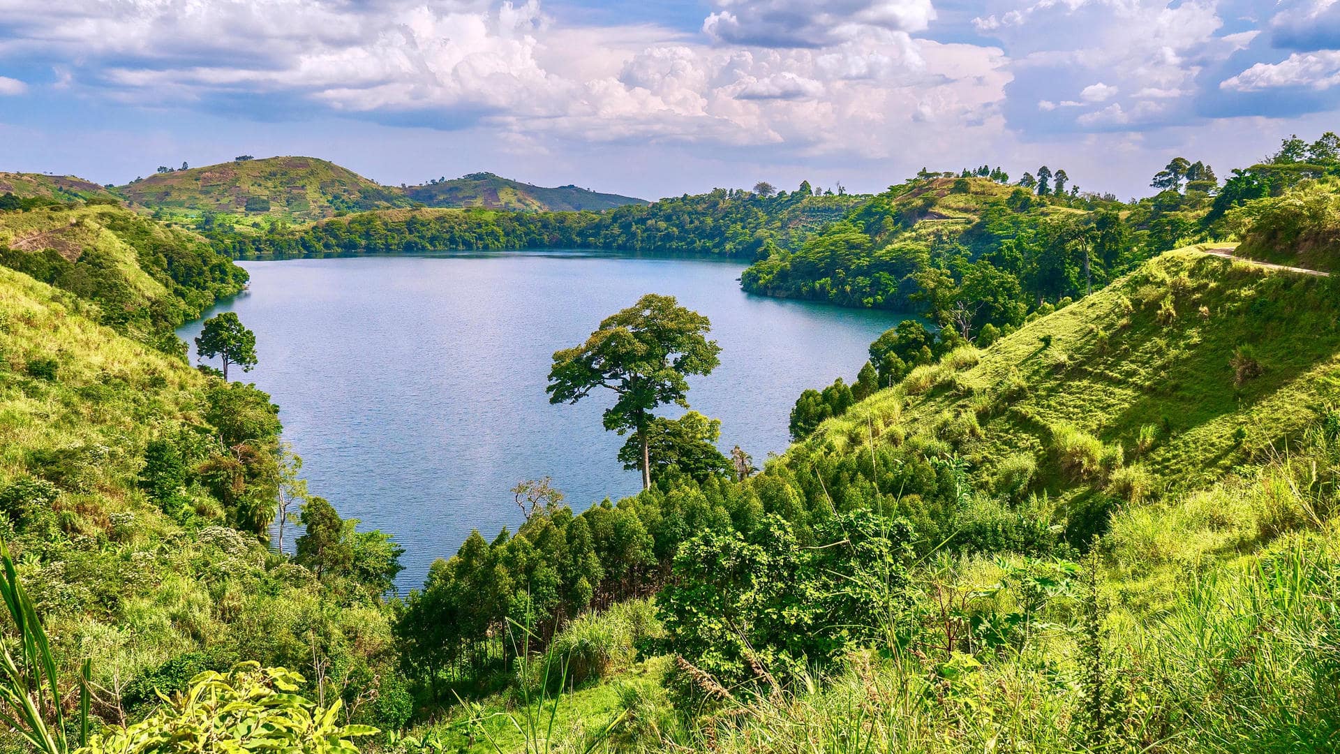 Kibale Forest National Park