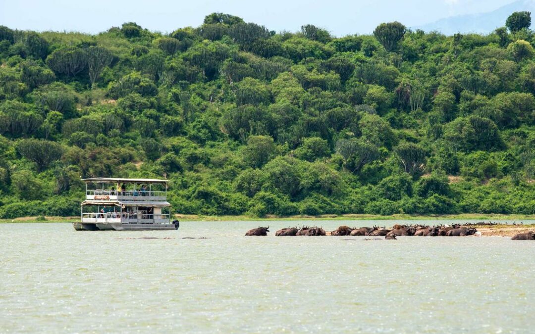 Queen Elizabeth National Park