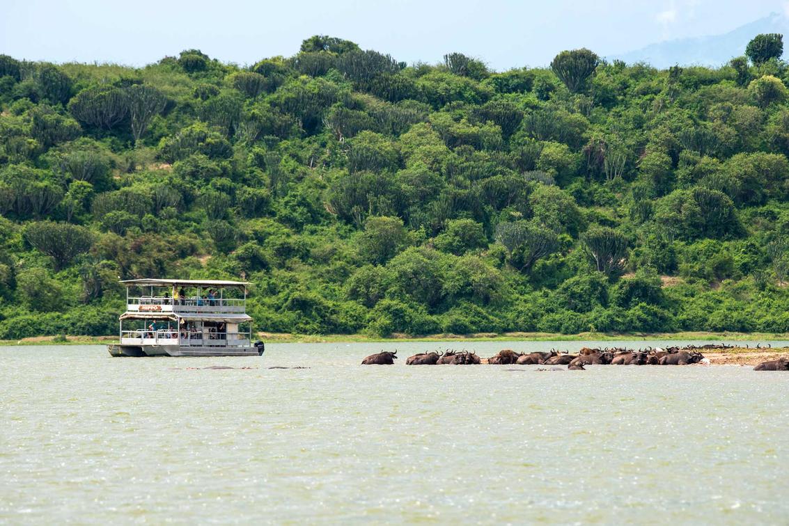 Queen Elizabeth National Park