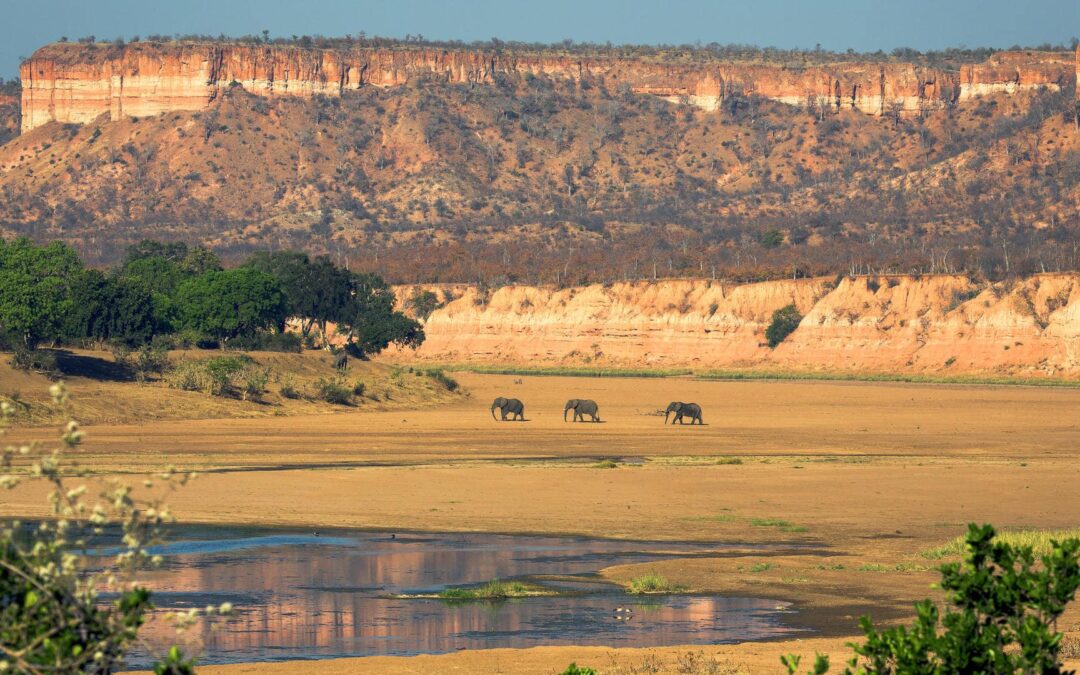 Gonarezhou National Park
