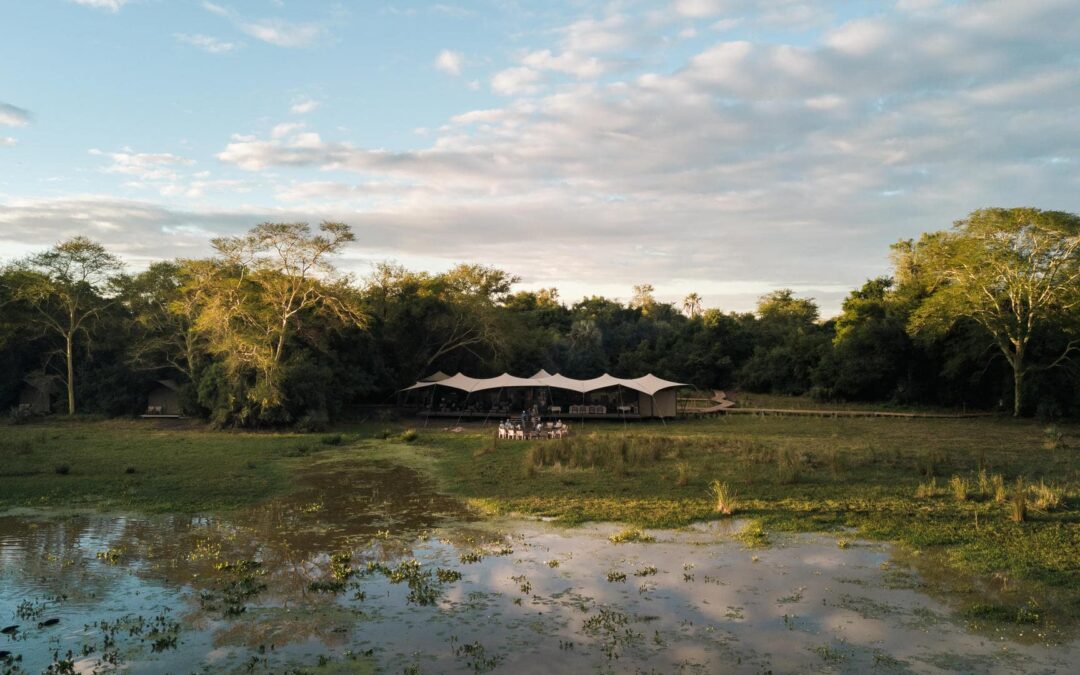 Gorongosa