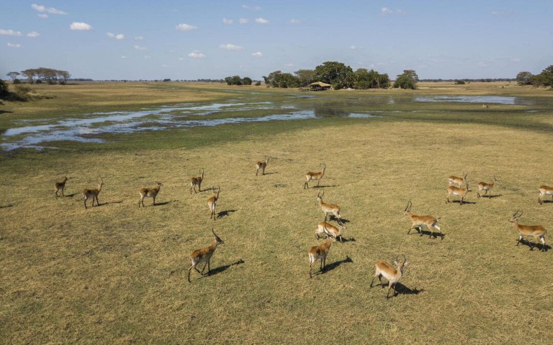 Kafue National Park